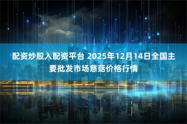 配资炒股入配资平台 2025年12月14日全国主要批发市场慈菇价格行情